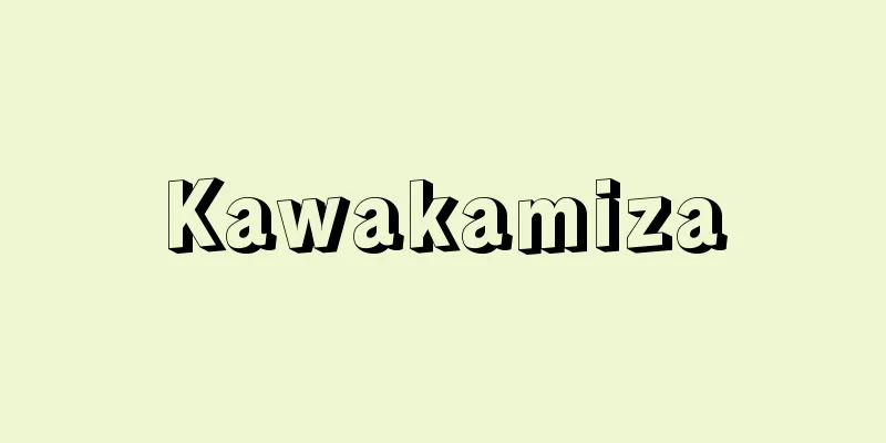 Kawakamiza