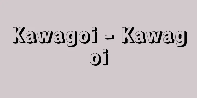 Kawagoi - Kawagoi