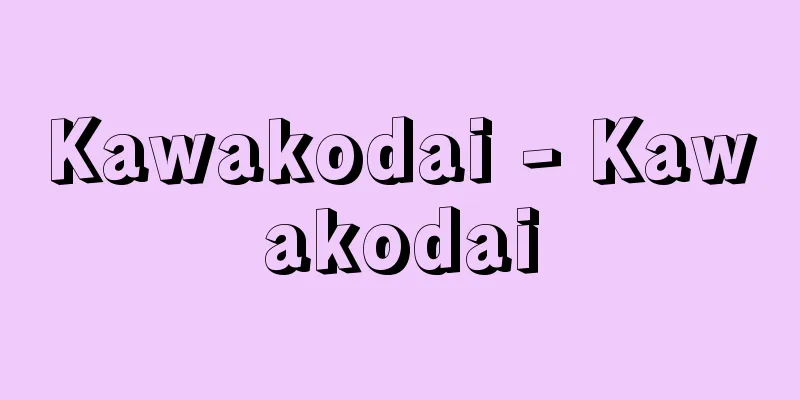 Kawakodai - Kawakodai