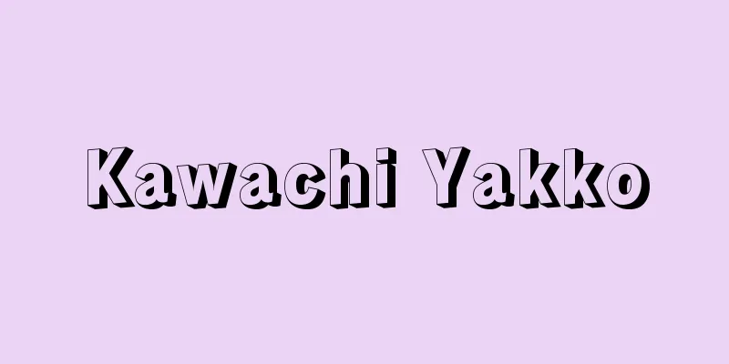 Kawachi Yakko