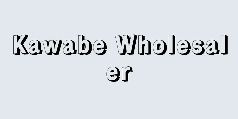 Kawabe Wholesaler
