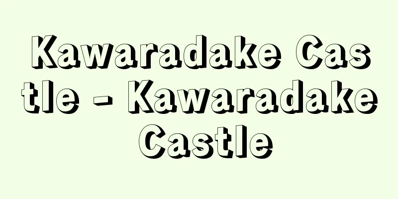 Kawaradake Castle - Kawaradake Castle