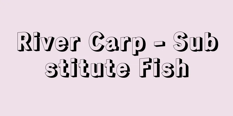 River Carp - Substitute Fish
