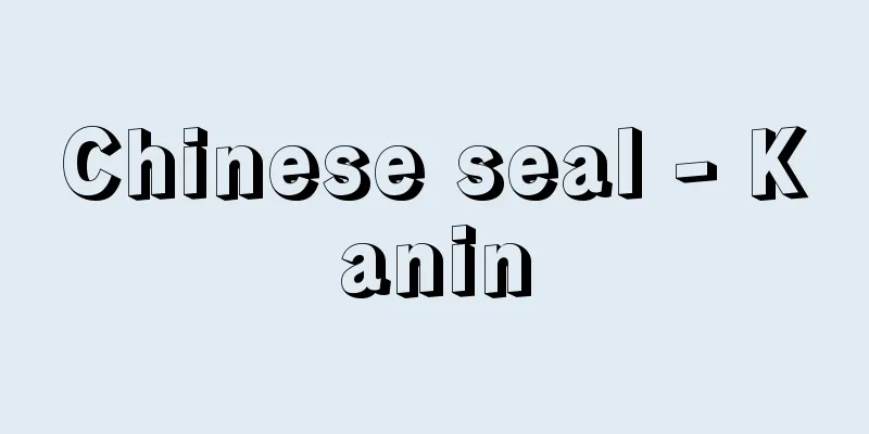 Chinese seal - Kanin