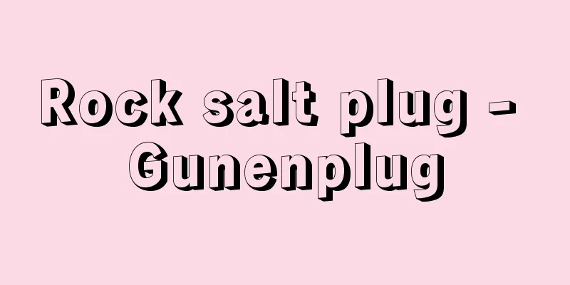 Rock salt plug - Gunenplug