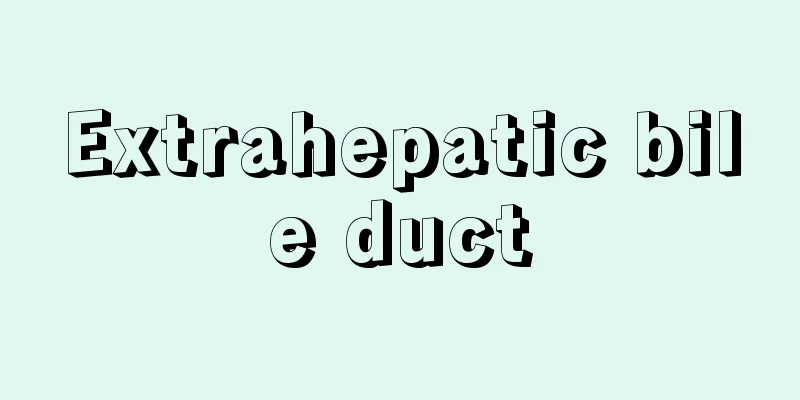 Extrahepatic bile duct