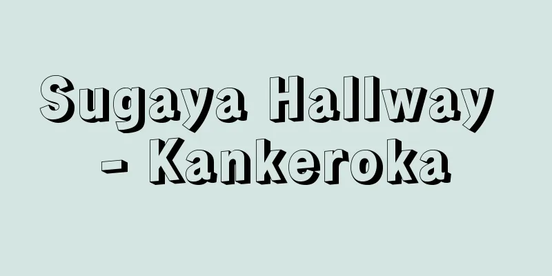 Sugaya Hallway - Kankeroka