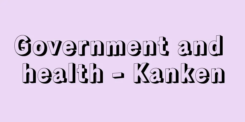 Government and health - Kanken