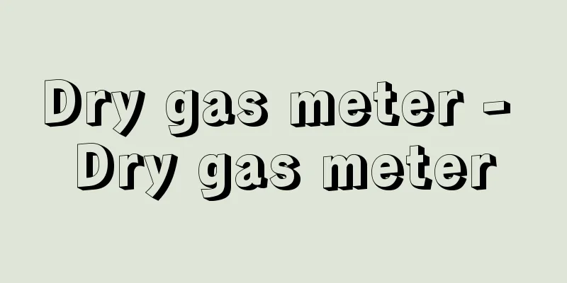 Dry gas meter - Dry gas meter