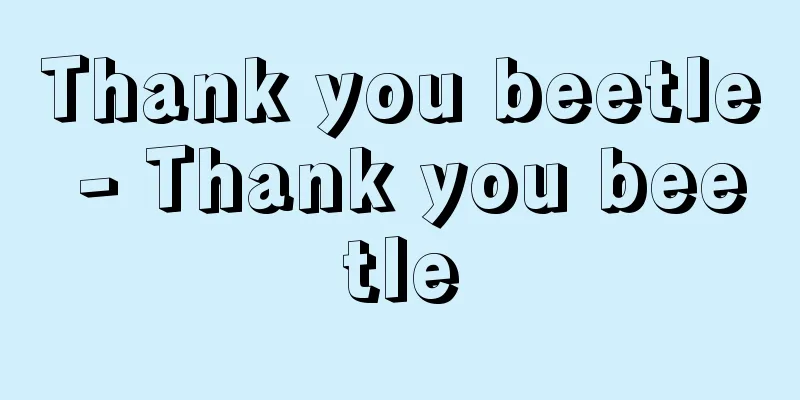Thank you beetle - Thank you beetle