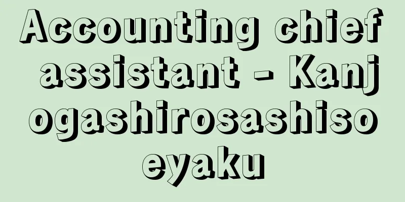 Accounting chief assistant - Kanjogashirosashisoeyaku