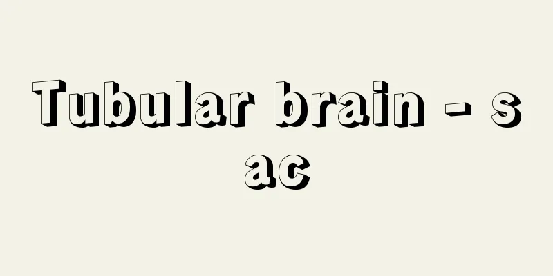 Tubular brain - sac