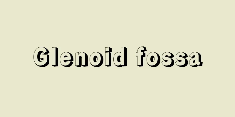 Glenoid fossa
