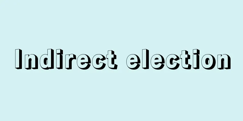 Indirect election