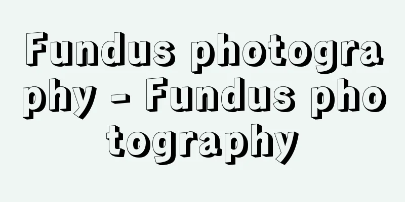 Fundus photography - Fundus photography