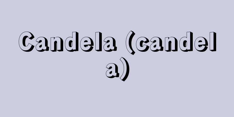 Candela (candela)