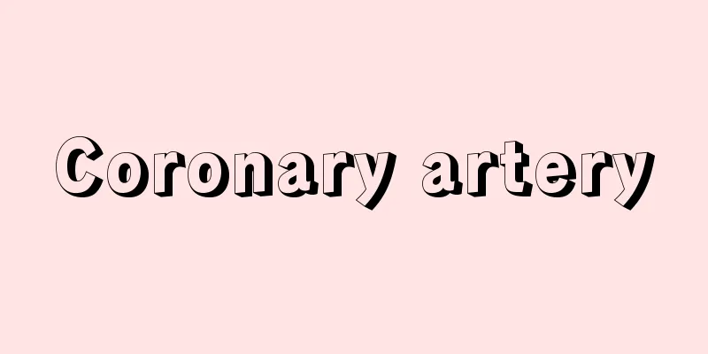 Coronary artery