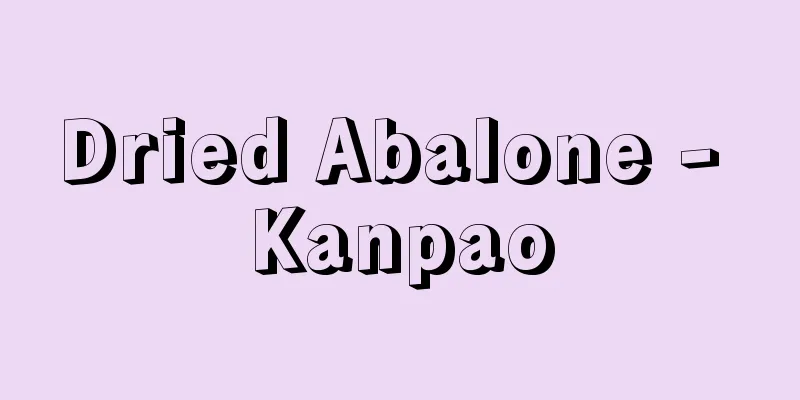 Dried Abalone - Kanpao