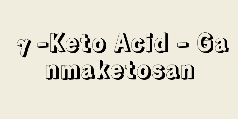 γ-Keto Acid - Ganmaketosan