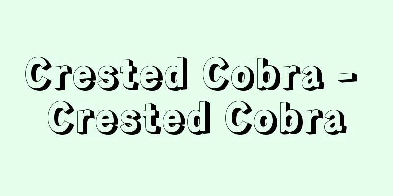 Crested Cobra - Crested Cobra