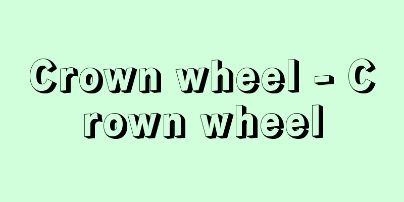 Crown wheel - Crown wheel