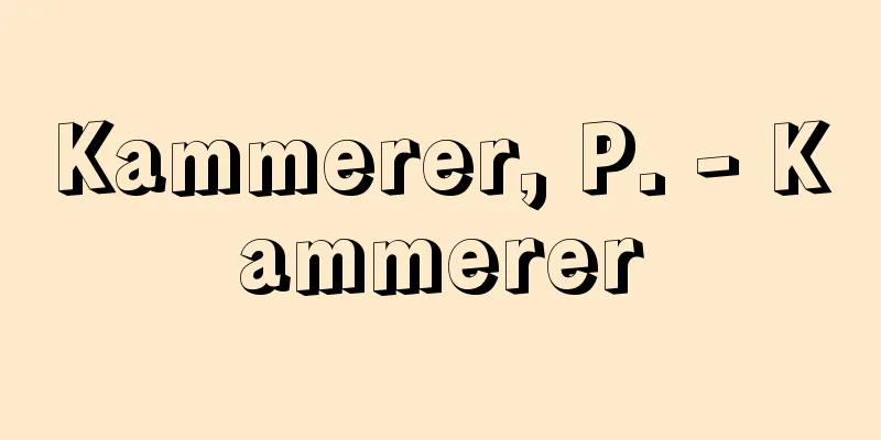 Kammerer, P. - Kammerer