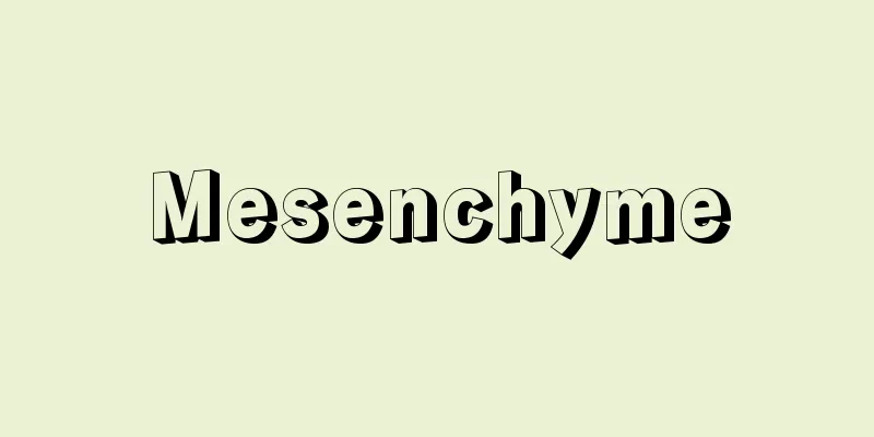Mesenchyme