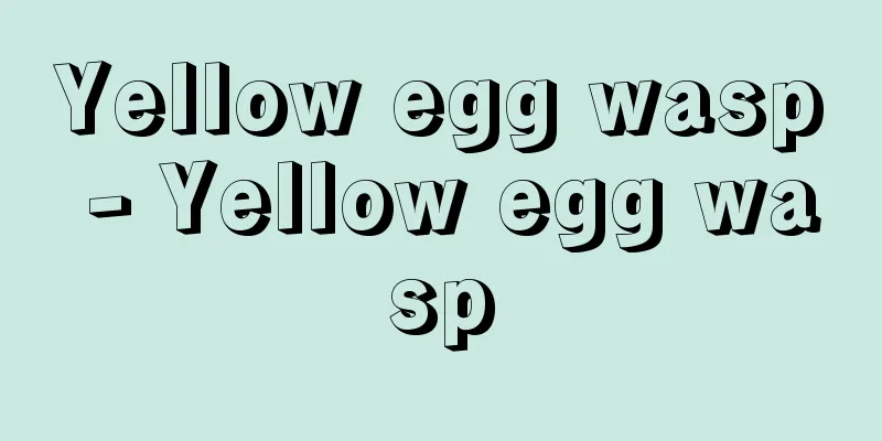 Yellow egg wasp - Yellow egg wasp