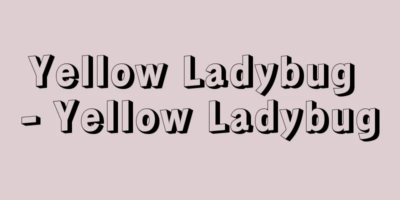 Yellow Ladybug - Yellow Ladybug