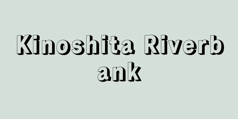 Kinoshita Riverbank