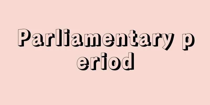 Parliamentary period
