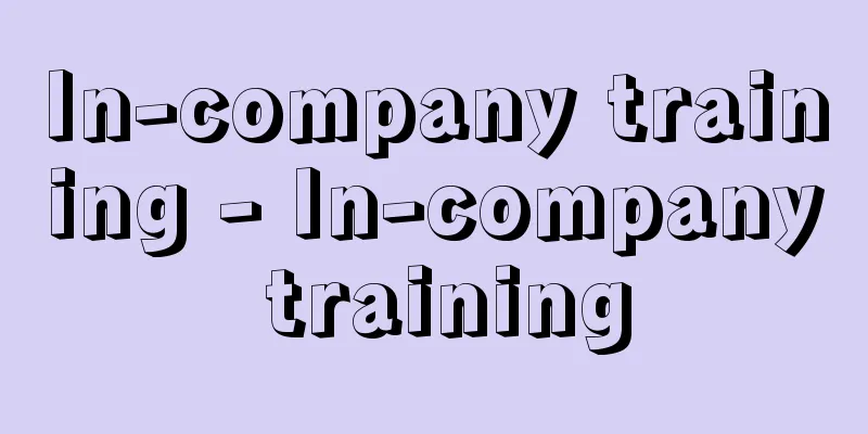 In-company training - In-company training
