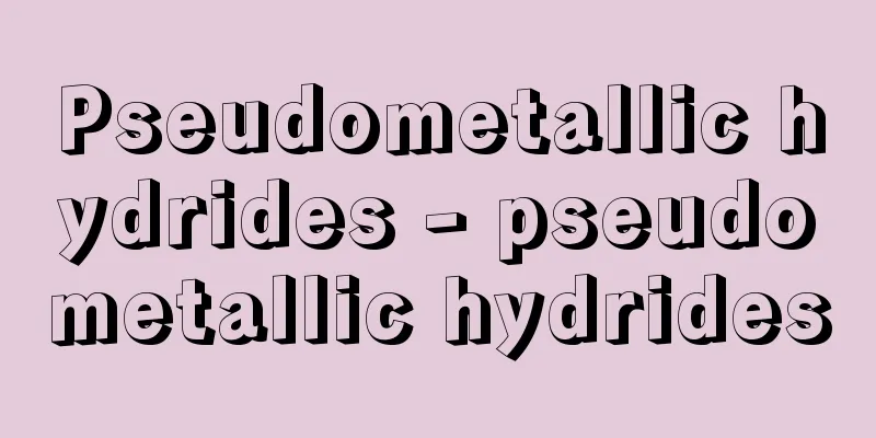 Pseudometallic hydrides - pseudometallic hydrides