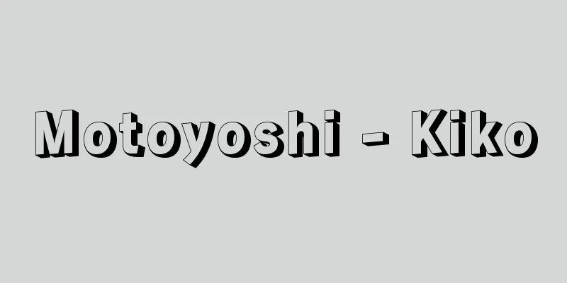 Motoyoshi - Kiko