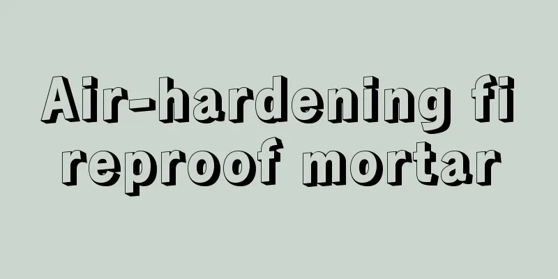 Air-hardening fireproof mortar