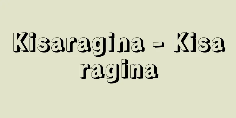 Kisaragina - Kisaragina