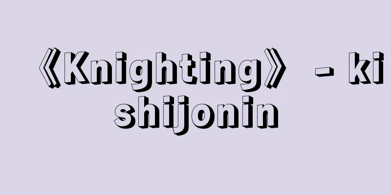《Knighting》 - kishijonin
