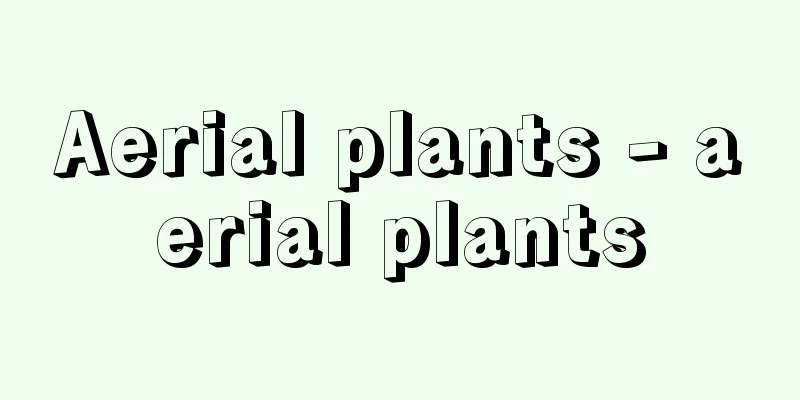 Aerial plants - aerial plants