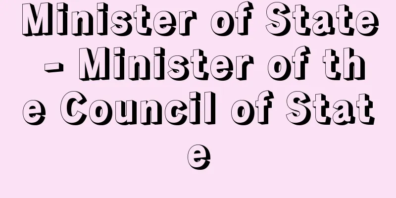 Minister of State - Minister of the Council of State