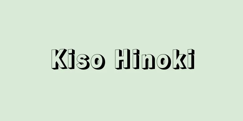 Kiso Hinoki