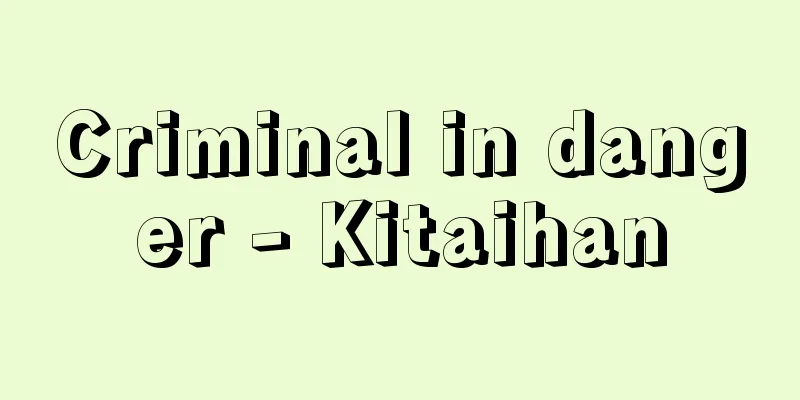 Criminal in danger - Kitaihan