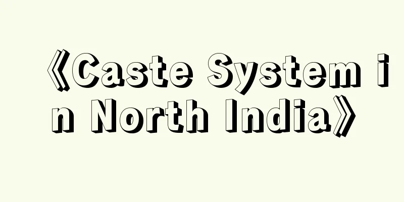 《Caste System in North India》