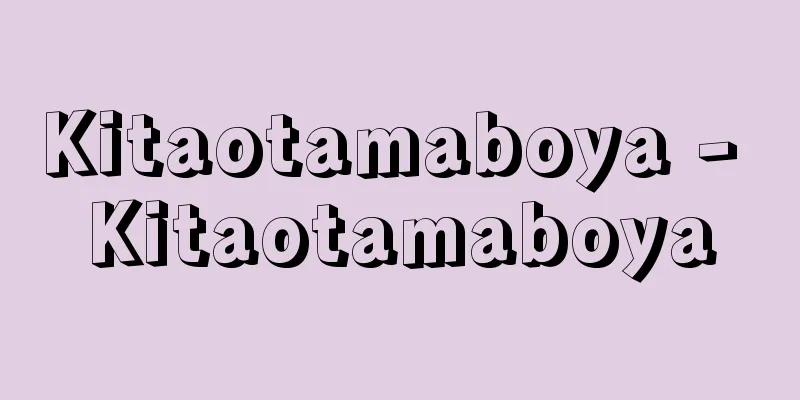 Kitaotamaboya - Kitaotamaboya