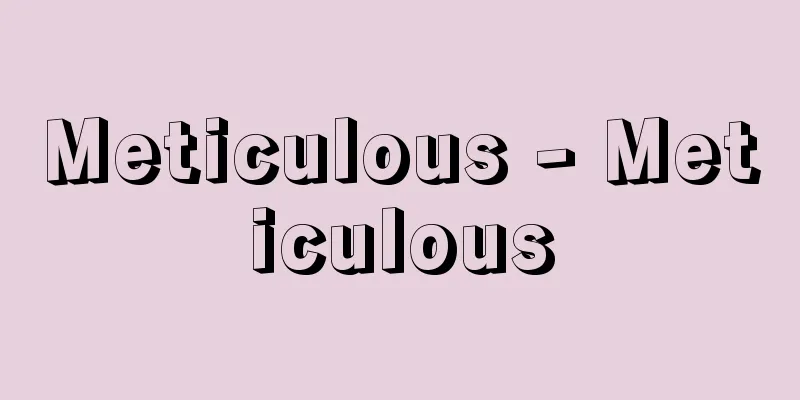 Meticulous - Meticulous