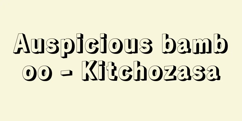 Auspicious bamboo - Kitchozasa