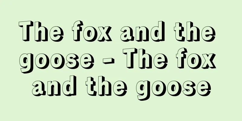 The fox and the goose - The fox and the goose