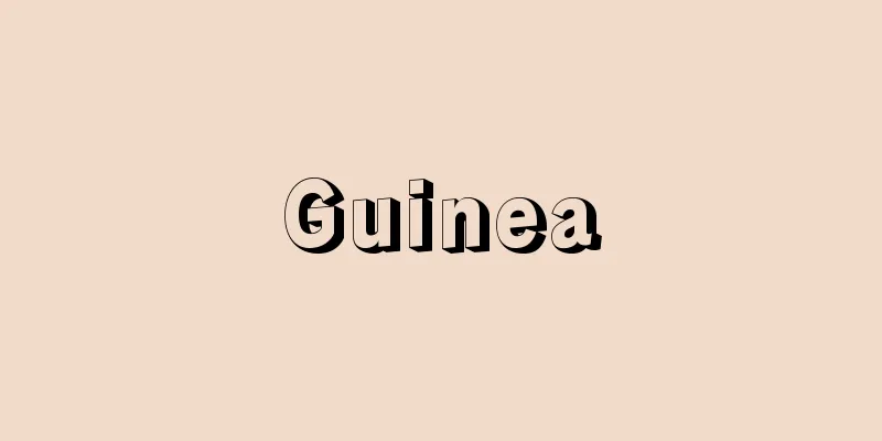 Guinea