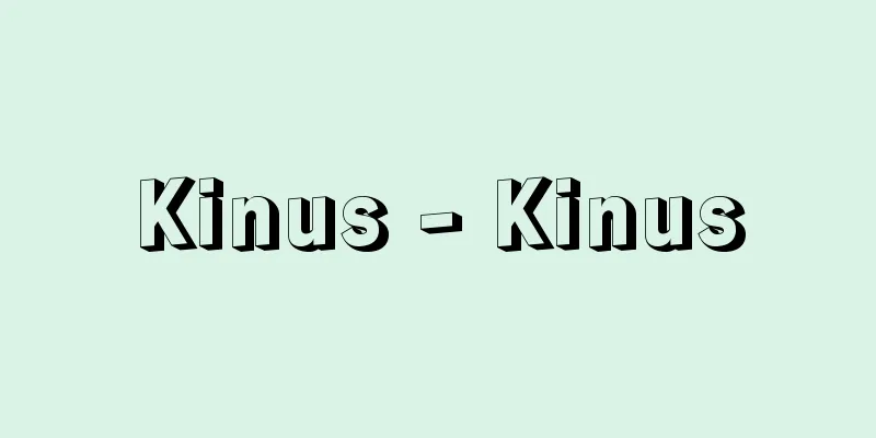 Kinus - Kinus