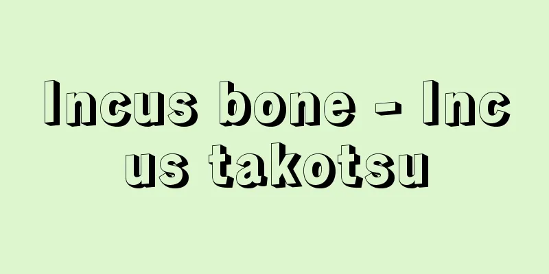 Incus bone - Incus takotsu
