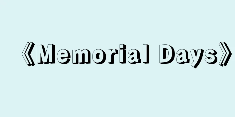 《Memorial Days》